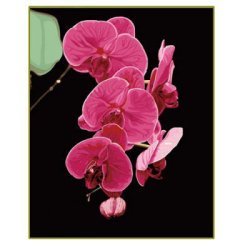 Diy Öl malen nach zahlen g069 blumen-design malerei auf leinwand g069
