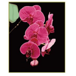 Diy Öl malen nach zahlen g069 blumen-design malerei auf leinwand g069