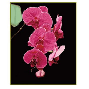 Diy oil Paint by numbers G069 flower design painting on canvas G069