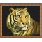 G036 tiger picture animal design Diy oil Paint by numbers