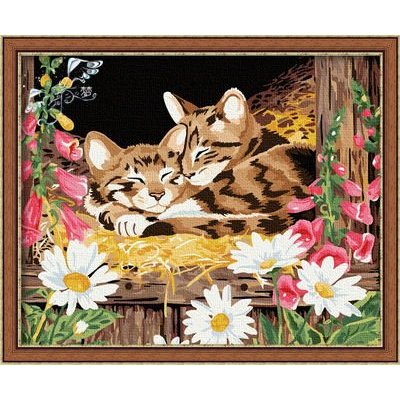Diy oil painting cat photoes by numbers canvas oil painting set-diy art set
