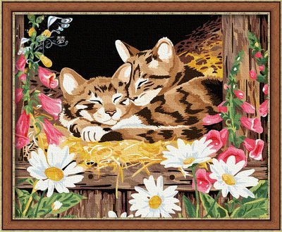 Diy oil painting cat photoes by numbers canvas oil painting set-diy art set