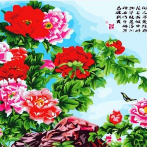 Diy oil painting chinese flower picture-oil painting by numbers kit