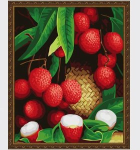 Good quality Diy oil Paint by numbers G246 fruit design canvas oil painting