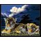 Diy oil painting by numbers GT037 tiger picture animal design acrylic painting on canvas yiwu wholesales