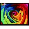 wholesales diy oil painting with numbers abstract flower design