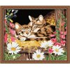 G034 cat design animal picture handmaded painting kit wholesales diy paint with numbers