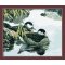 wholesales animal design diy painting by numbers canvas oil painting hot selling painting