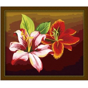 Flower diy oil painting by numbers on canvas