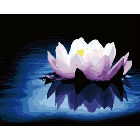 g066 blume Bild acryl Öl malen nach zahlen