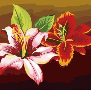 oil painting flower picture,canvas oil painting by numbers