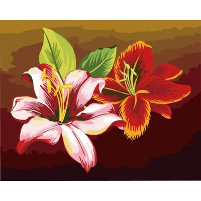 Pintura al óleo imagen de la flor, Lona de la pintura al óleo por números