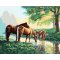 wholesales diy oil painting by numbers horse design digital painting ,canvas painting
