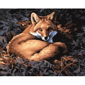 großhandel diy Öl malen nach zahlen g157 tier fuchs design