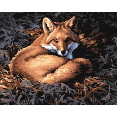 Ventas al por mayor diy pintura de aceite by números G157 animales fox diseño