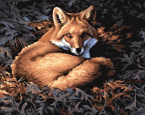 wholesales diy oil paint by numbers G157 animal fox design