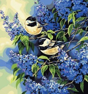 Ventas al por mayor de diy pintura al óleo con números 40 * 50 cm de aves y imagen de la flor pintura