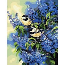 wholesales diy oil painting with numbers 40*50cm bird and flower picture painting