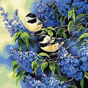 wholesales diy oil painting with numbers 40*50cm bird and flower picture painting