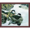 wall art hot photo diy digital canvas oil painting