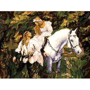 pferd design malen nach zahlen frauen und Pferd bild Ölbild