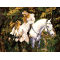 horse design painting by numbers women and horse picture oil painting