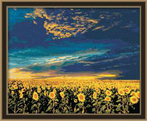 paintboy painting by numbers sunflower oil painting flower photo painting