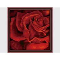 paintboy diy oil painting