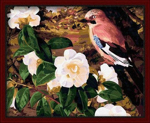 Blumen-und Tierfoto Malerei- en71-3- astmd- 4236 acrylfarbe- Lack Junge 40*50cm