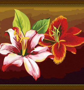 paintboy flower oil painting / digital oil painting 40*50cm