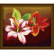 paintboy flower oil painting / digital oil painting 40*50cm