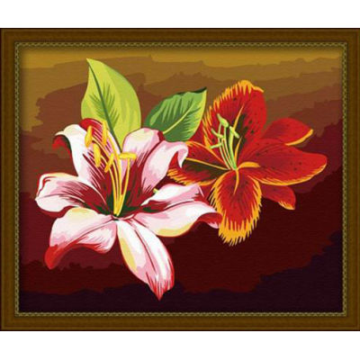 Paintboy al óleo de la flor de la pintura / pintura al óleo digital de 40 * 50 cm