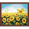 oil painting pictures of flowers paintboy 40*50cm