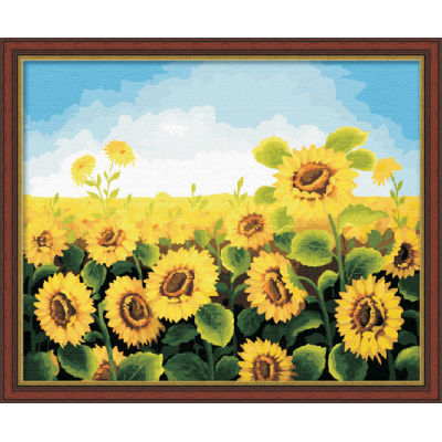 Pintura al óleo de fotos de flores paintboy 40 * 50 cm