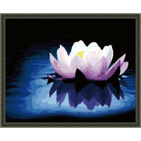 Pintura con números pintura de la flor - EN71-3 - ASTMD-4236 de acrílico pintura - G066