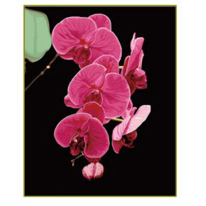 Blume diy Öl malen nach zahlen- en71-3- astmd- 4236 acrylfarbe- Lack Junge 40*50cm g069