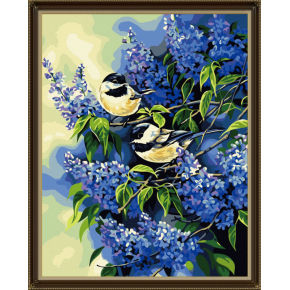 Paintboy malen mit zahlen- Umwelt acrylfarbe- Erreichen 40*50cm g162