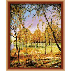 Diy malen mit Zahlen- en71-3- astmd- 4236 acrylfarbe- Lack Junge 40*50cm g238