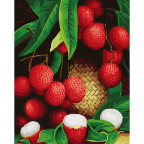 Diy digital pintura al óleo de la fábrica de yiwu imagen de fruta de aceite painting-G246