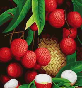 diy digital oil painting - yiwu factory fruit picture oil painting-G246