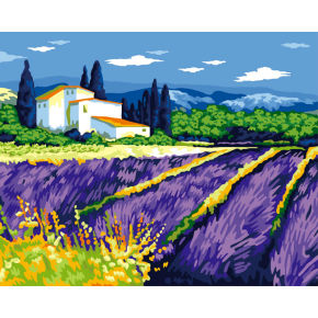 Paintboy pintura con números de imagen de la flor - del medio ambiente de acrílico pintura - llegar a 40 * 50 cm G247