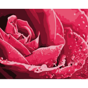 Diy malen mit zahlen- g254- Blume foto malerei
