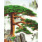 chinese tree picture oil painting by numbers factory best selling 2015