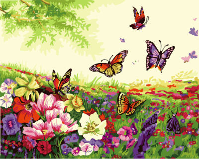 oil abstract flowers and butterfly painting by numbers