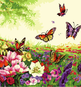 Al óleo abstracta flores y pintura de la mariposa por números