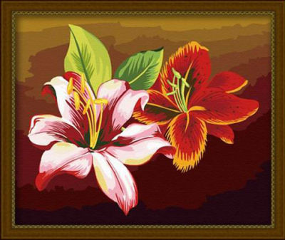 diy painting by numbers - EN71-3 - ASTMD-4236 acrylic paint - paint boy 40*50cm