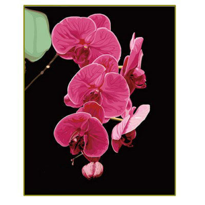 Blume malen nach zahlen- en71-3- astmd- 4236 acrylfarbe- Lack Junge 40*50cm g069