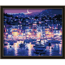 EN71-3 - ASTMD-4236 acrylic paint - paint boy oil painting moon night picture 40*50cm
