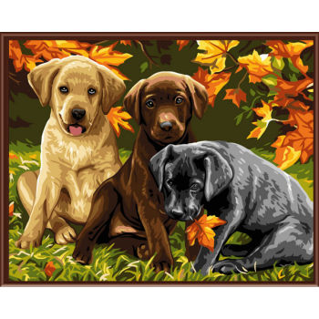 Paintboy - paint with numbers-animal picture oil painting by numbers