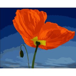 Paintboy - diy pintura al óleo con número